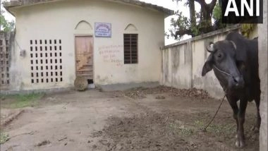 India News | Primary Health Centres in Bihar's Samastipur in a Sorry State, Say Villagers