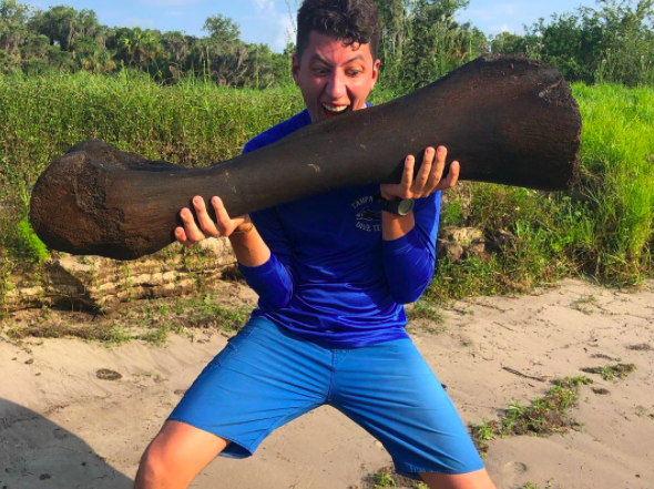 Florida Scuba Divers Find 4-foot, 50-Pound Mammoth Bone at the Bottom of Peace River