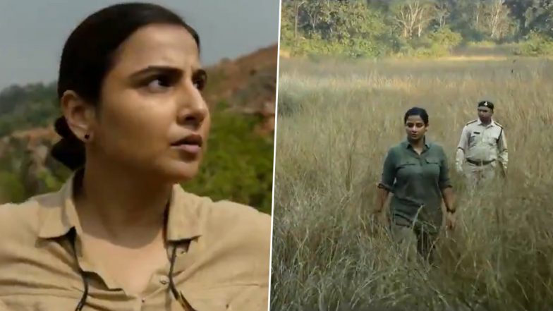 Sherni Teaser: Vidya Balan Gives A Sneak Peek Into The World Of A Tigress (Watch Video)