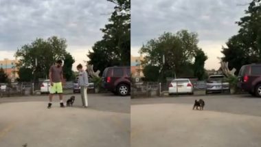 Pet Owners Take Funny ‘Run In Opposite Directions’ TikTok Challenge to Test their Dogs’ Loyalty; Watch Viral Videos