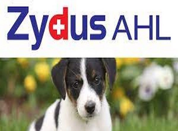 Cadila Healthcare Arm Completes Sale of Animal Health Business For Rs 2,921 Crore