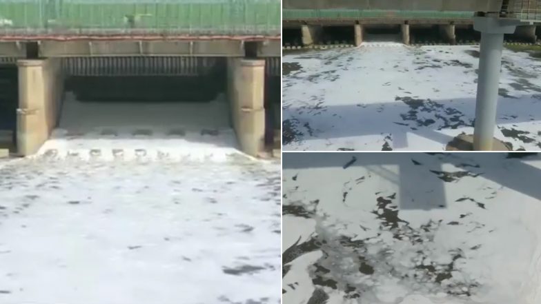 Thin Layer of Toxic Foam Seen Floating Near Yamuna River in Delhi (Watch Video)