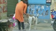India News | COVID-19: Odisha Govt Asks Civic Bodies to Feed Stray Animals During Lockdown