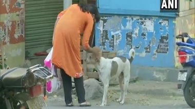India News | COVID-19: Odisha Govt Asks Civic Bodies to Feed Stray Animals During Lockdown