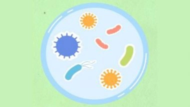 Science News | Breakthrough Study Finds Microbial Gene Discovery Could Mean Greater Gut Health