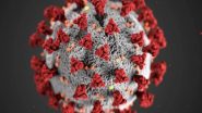 India News | 16 COVID-19 Variants Found Active in Uttarakhand, Says State Health Dept