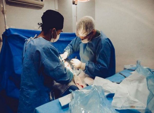 Science News | Scientists Discover Simple Surgical Technique That Prevents Strokes in Heart Patients