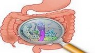 Health News | 'Good' Bacteria Show Promise for Clinical Treatment of Crohn's Disease, Ulcerative Colitis