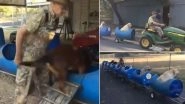 Adorable Video of Dog Train Built by a Man to Take Rescued Puppies on a Ride Goes Viral and Netizens Are in Love