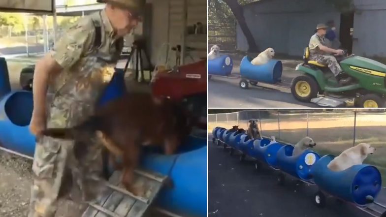 Adorable Video of Dog Train Built by a Man to Take Rescued Puppies on a Ride Goes Viral and Netizens Are in Love