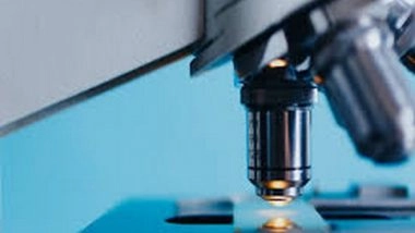 Science News | Study: Novel Immune Checkpoints Have Applications for Cancer, Autoimmune Disease Treatment