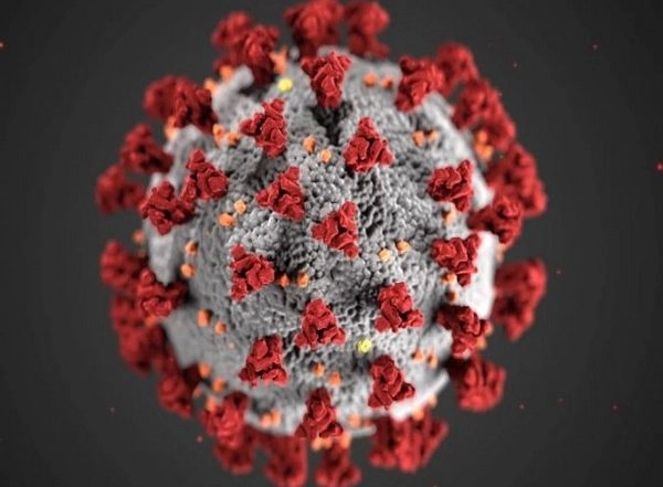 India News | Delhi Reports 4,482 New COVID-19 Cases, Positivity Rate Comes Down to 6.89 Pc