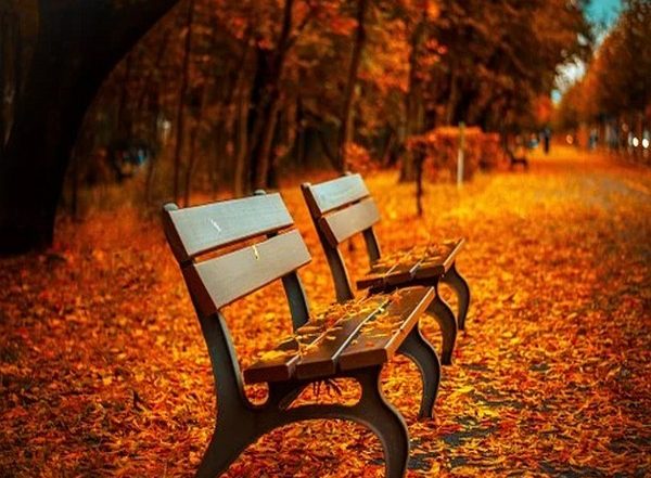 Parks Not Only Safe, but Essential During COVID-19 Pandemic: Drexel Study