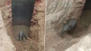 Heart-Warming Pics of Baby Elephant Rescued by Forest Department After It Was Trapped in Well Are Pure Gold