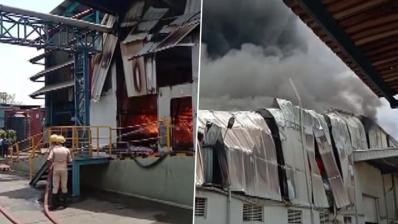 Madhya Pradesh: Fire Breaks Out at Factory in Pithampur Industrial Area of Dhar District