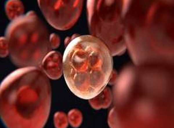 Health News | Head, Neck Cancer Cells Hijack Nearby Healthy Tissue, Promote Further Invasion of Cancer Cells: Study