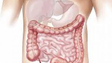 Science News | Researchers Discover Microbial Gene That Could Help Maintain 'greater' Gut Health