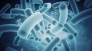 Science News | Study Explores Role of the Gut Microbiota in Inflammatory Skin Diseases
