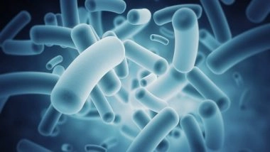 Science News | Study Explores Role of the Gut Microbiota in Inflammatory Skin Diseases