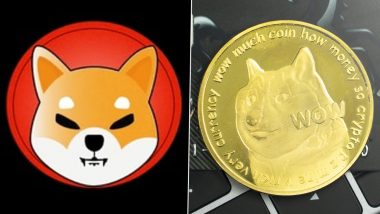 Shiba Inu Crypto Coin vs Dogecoin: What Is It? Is Shiba Inu a ‘Doge Killer’ or Another Meme Coin? Can You Buy It in India? All You Need to Know About the Latest Crypto Fad