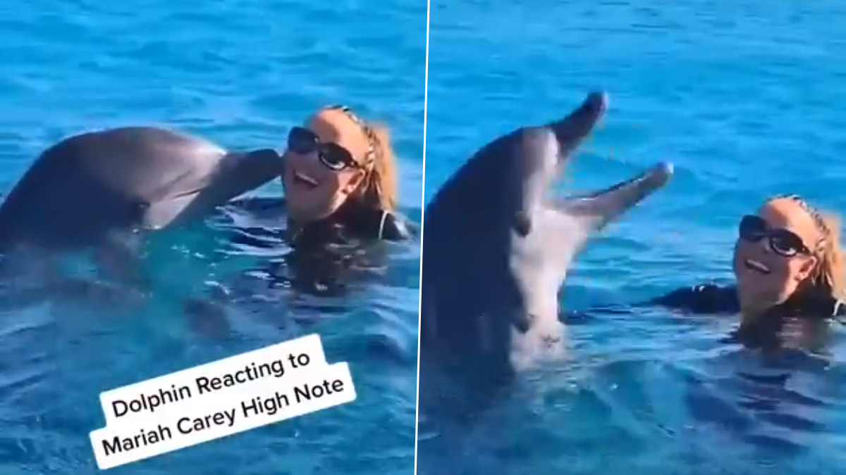 Dolphin Reacting to Mariah Carey’s High Note Is Winning Hearts; Watch Viral Video