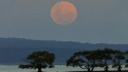 Super Blood Moon 2021: Red Moon Visible In Australia Two Hours Before Lunar Eclipse; Netizens Share Stunning Pictures