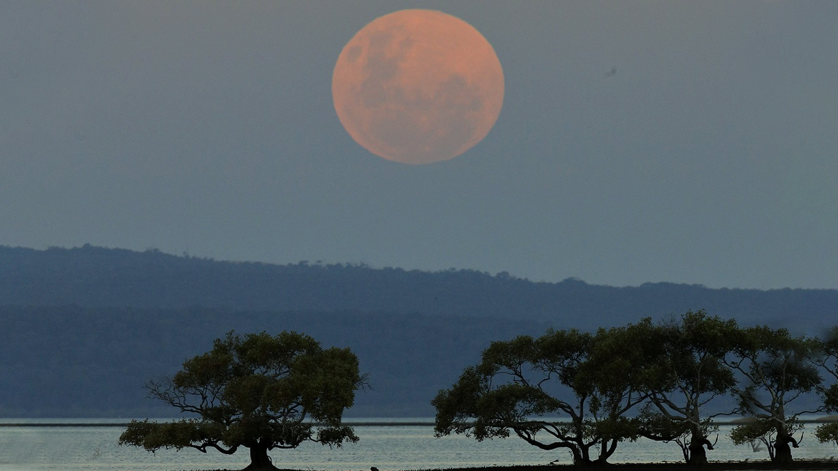 Super Blood Moon 2021: Red Moon Visible In Australia Two Hours Before Lunar Eclipse; Netizens Share Stunning Pictures