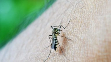 Health News | Researchers Make New Drug Compound for Stopping Malaria