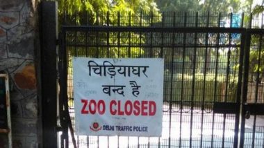 Delhi: National Zoological Park Sends Samples of Some Animals for COVID-19 Testing at IVRI Bareilly