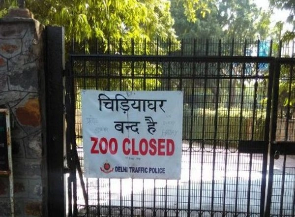 Delhi: National Zoological Park Sends Samples of Some Animals for COVID-19 Testing at IVRI Bareilly