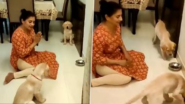 Viral Video of Woman Teaching Dogs to Pray Before Eating Is Winning Hearts on Social Media!