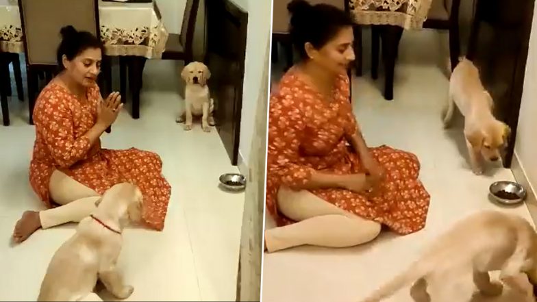 Viral Video of Woman Teaching Dogs to Pray Before Eating Is Winning Hearts on Social Media!