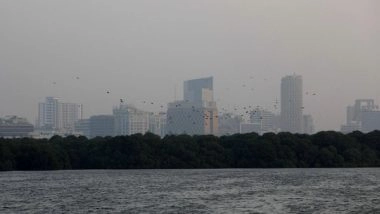 World News | Blackout Leaves Several Areas of Pak's Karachi in Dark for over 24 Hours