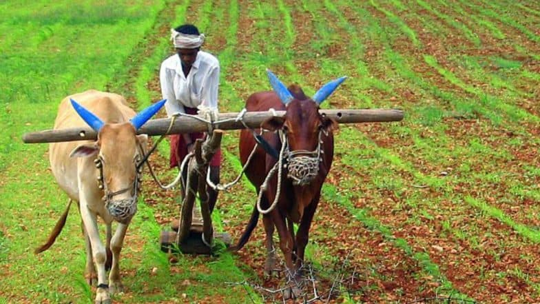 Centre Hikes Subsidy on DAP Fertiliser by 140%, Calls It 'Historic Decision'