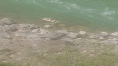 India News | Bodies Wash Up on Shores of River Sarayu in Uttarakhand; Locals Shocked, Concerned