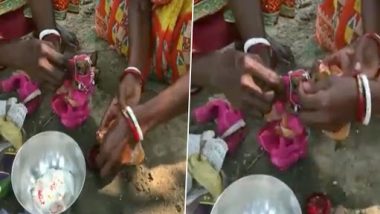 Frogs Married in Tripura To Please Rain God, Locals Perform All Rituals From Bath in Pond to Applying Sindoor (Watch Video)