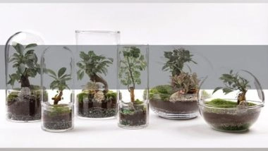 Business News | ARQONZ Launches Its E-commerce Platform, One Stop Solution for India's Real Estate Sector