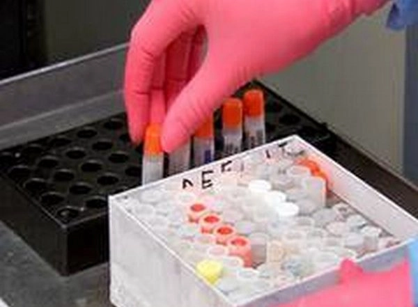 COVID-19 Vaccination Drive: Haryana Reports Highest Vaccine Wastage Followed by Assam, Rajasthan, Says Union Health Ministry