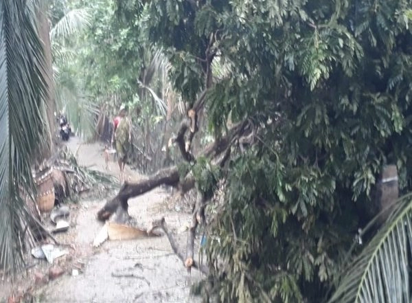 India News | Cyclone Yaas: Houses Damaged, Aadhaar, Voter Cards Missing After Waterlogging in West Bengal's Gangarampur