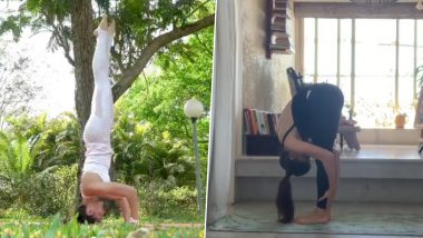 International Yoga Day 2021: From Headstand to Surya Namaskar; 5 Posts of Jacqueline Fernandez Prove that She is a True Yoga Lover