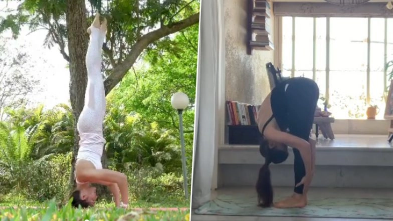 International Yoga Day 2021: 5 Posts of Jacqueline Fernandez Prove that She is a True Yoga Lover
