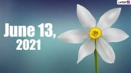 June 13, 2021: Which Day Is Today? Know Holidays, Festivals and Events Falling on Today&rsquo;s Calendar Date