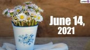 June 14, 2021: Which Day Is Today? Know Holidays, Festivals and Events Falling on Today&rsquo;s Calendar Date