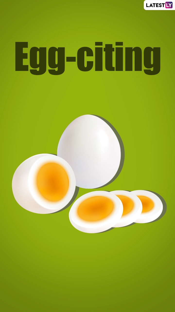 9 &lsquo;Egg-Splosive&rsquo; Egg Puns To Crack You up This National Egg Day 2021