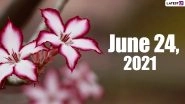 June 24, 2021: Which Day Is Today? Know Holidays, Festivals and Events Falling on Today&rsquo;s Calendar Date
