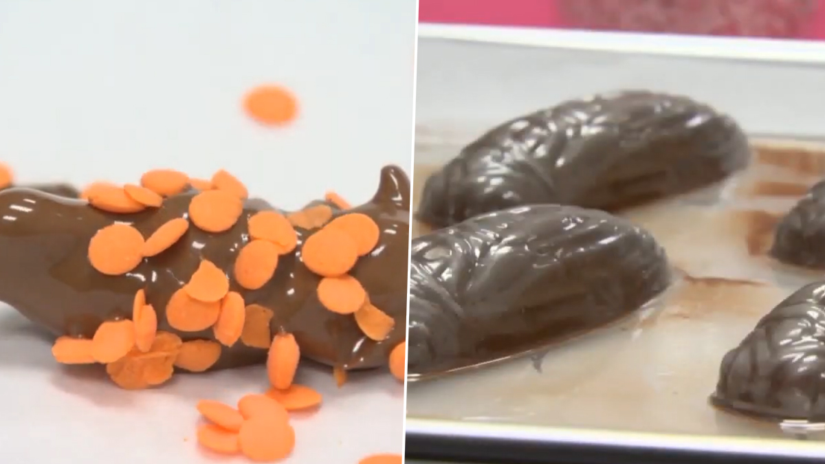 Chocolate-Covered Cicadas Recipe by This Maryland Company Leaves Netizens Baffled, Watch Viral Video