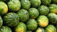 Jharkhand Farmer's Bumper Watermelon Harvest Purchased by Indian Army's Sikh Regimental Centre After He Offers It for Free