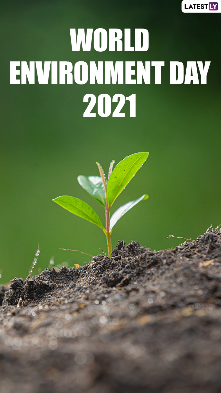 World Environment Day 2021: Quotes and Slogans To Celebrate Vishwa Paryavaran Diwas on June 5