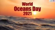 World Oceans Day 2021: From Avoiding Plastic to Using Reusable Bags; 5 Things You Can Do To Save Our Oceans