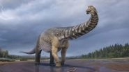Australotitan Cooperensis, Identified as New Species, Is Largest Dinosaur Found in Australia, Say Experts